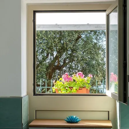 Apartment Sweet Rose With Garden *